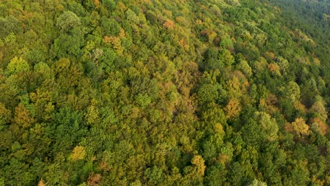 Flying A Drone Over The Mountain Forest