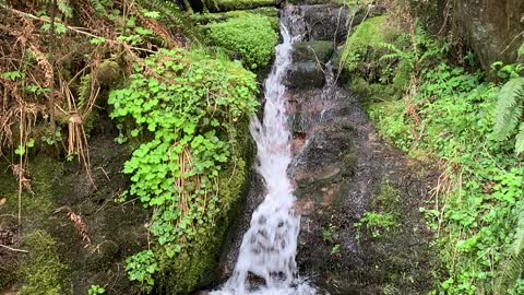 1 min with an Oregon coast waterfall