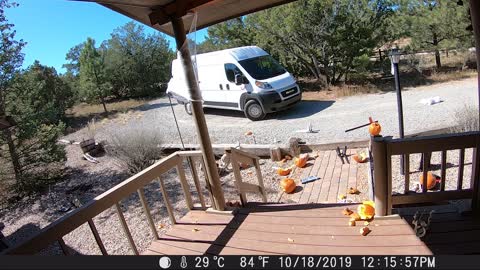 Package Delivery Driver Loses His Cool on Halloween Decorations