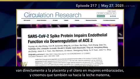 Nuevos Hallazgos Sobre La Proteina Spike o Espiga contenida en las vacunas CV19