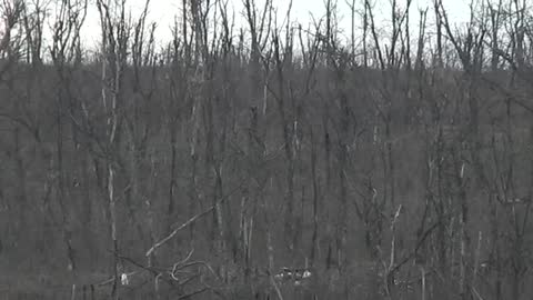 Ukrainian Sniper takes out Russian 650 Meters.