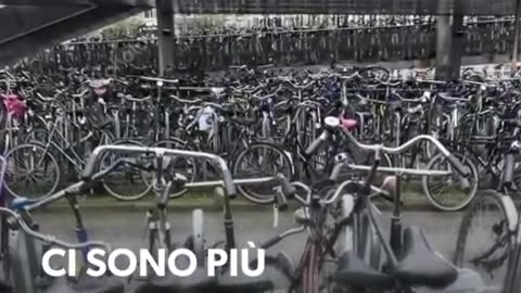 OLANDA:IL PARADISO DELLE BICICLETTE DOCUMENTARIO le biciclette in Olanda hanno tutte la targa che non è la targa del motorino ma è una sigla sul telaio per dire chi è il proprietario perchè le fregano pure