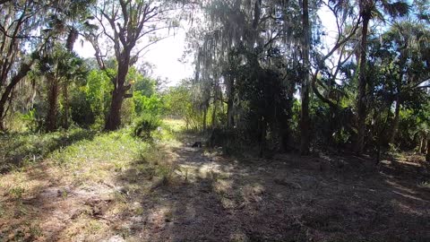 A Bike N' Hike to Florida Indian Platform Mound and Midden