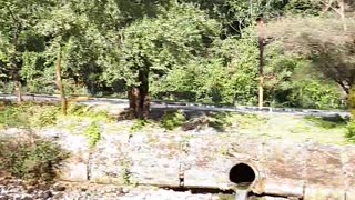 Descent Along a mountain river in the mountains of Abkhazia.