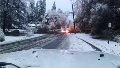 Falling tree brings down power line in California