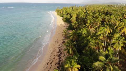 Beautifull Drone Footage ,Tropical Beach In The Dominican Republic