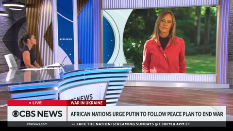 African leaders urge Putin to end war, Putin promises free grain to 6 African countries