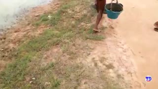 Amazing Two Children Catch Snail - How To Catch Snail In Cambodia