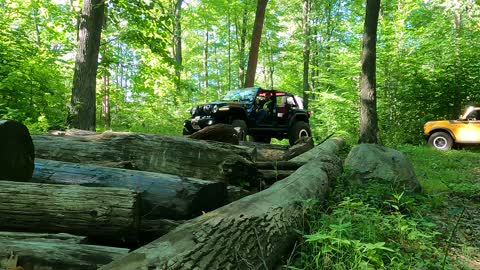Tall Oak Log Crawl | Camp Sinawa | Jeep Wrangler JLU on 40's