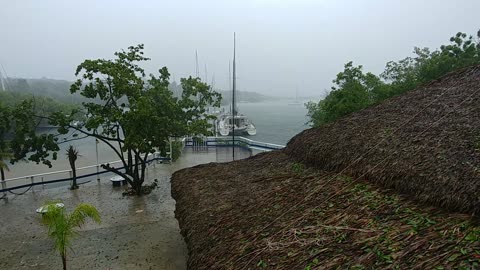 A walk through Hurricane Irma