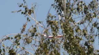 Planes Bring Relief to Burbank Fires