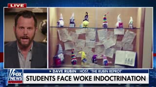 Dave Rubin on woke indoctrination at schools