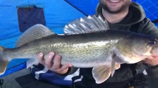 Fish Spits Hook Right Back at Fisherman