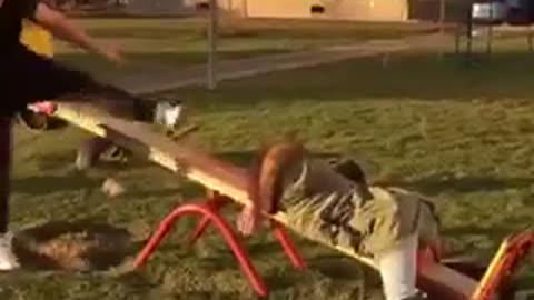 Guy knocks girl in green jacket over on playground seesaw