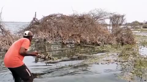 super fishing video catching giant fish #fish #fishing