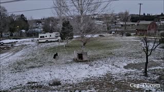 Graham Family Farm: Frozen Farm