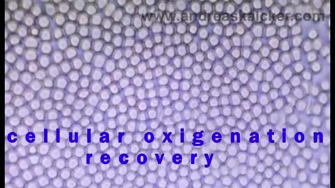 cellular oxyganation recovery