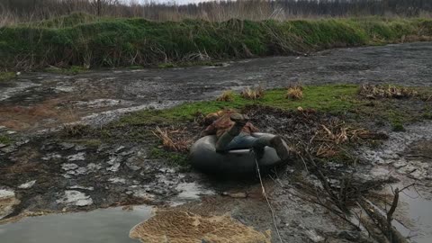 Rescuing a Dog Stuck on a Swampy Island
