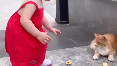 Cute baby playing with cat