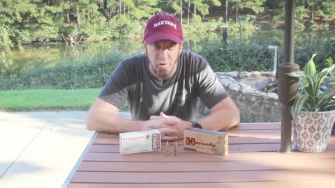 .350 Legend vs. .450 Bushmaster, Which one is the right choice?