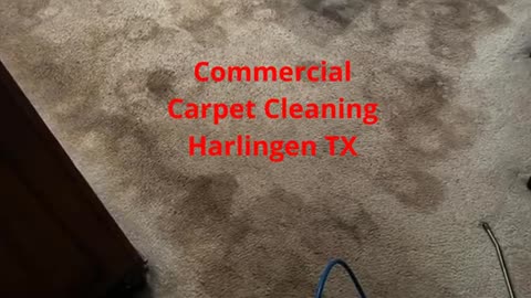 Texas Elite Restoration : Commercial Carpet Cleaning in Harlingen, TX