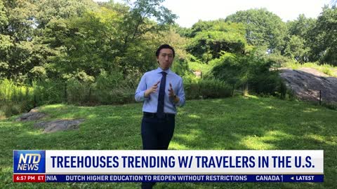 Treehouses Trending with Travelers in the US