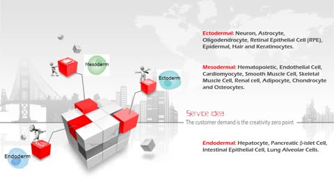 iPSC Differentiation Kit