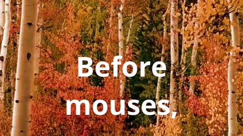 Before mouse??
