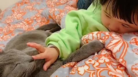 Baby is chilling on bed with a cat