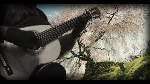 桜の木になろう(Sakura no Ki ni Narou) - AKB48 / Classical guitar solo