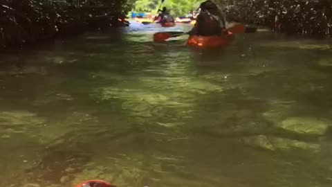 Kayaking through Mangroves off of Bahia Cai in Bonaire