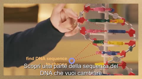 Bill Gates reclamizza la bioingegneria CRISPR.