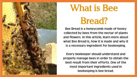 What is Bee Bread?