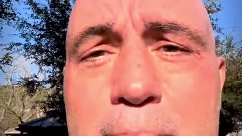 Libs in disarray as Rogan responds to Spotify outrage