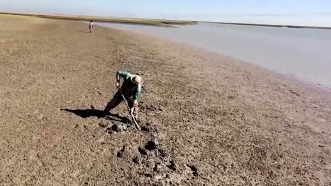 Iraq plants mangroves to fight climate disaster