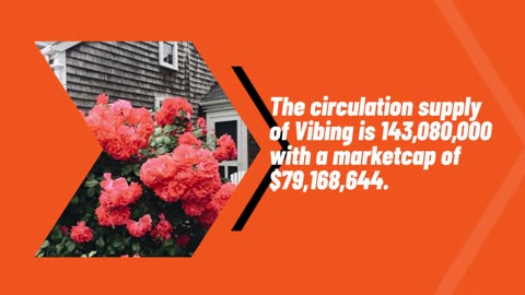 Vibing Price Prediction 2023, 2025, 2030 - How high can VBG go