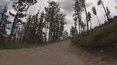 82" NON-WIDTH RESTRICTED TRAIL CUSTER PEAK AREA BLACK HILLS NATIONAL FOREST SOUTH DAKOTA