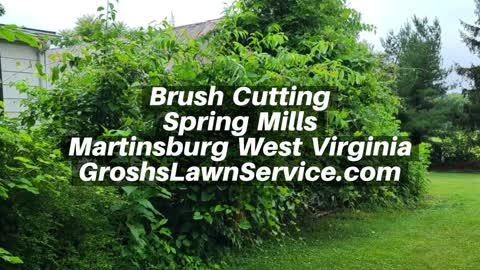 Brush Cutting Spring Mills Martinsburg West Virginia Landscape Contractor