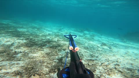 A MONTH LIVING & SPEARING IN THE ABROLHOS WITH MY KIDS - SINGLE DAD SINGLE HANDED SAILING - Part 2