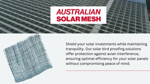 Enhancing Solar Panel Efficiency: Effective Solutions for Solar Bird Proofing in Sydney
