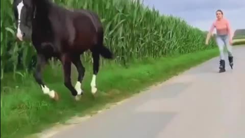 Skating With Horse- Exercise Time