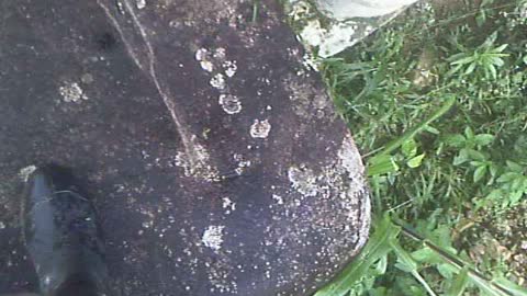 5th (unknown) PETROGLYPH with a map on local woman Virginia's property Pena Blanca Ecuador