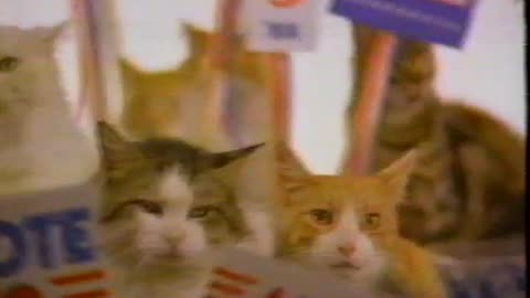 December 3, 1987 - Morris the Cat for President