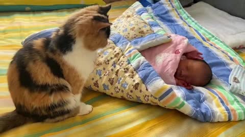 The cat saw the little owner for the first time.