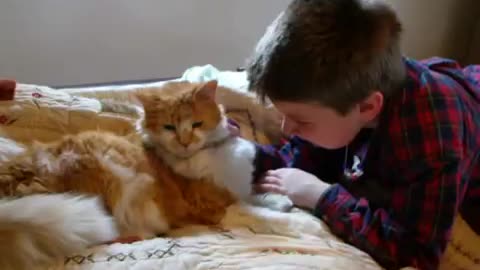 Heartwarming Moment As Boy Finally Gets Reunited With His Missing Cat