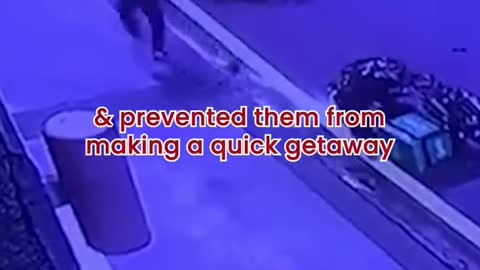 KL Grab delivery rider helps stop snatch theives
