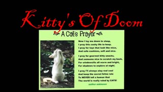 Kitty's of Doom- "A cats prayer"