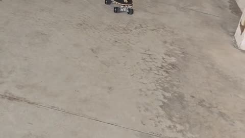 Skilled Kitten Skates On Several Boards