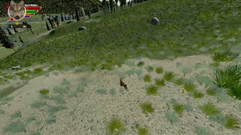 Mimic's Wolfquest AE all single player achievements - 20