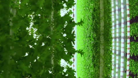 3 Innovative Smart Farming (Vertical Farming) | Future of Farming